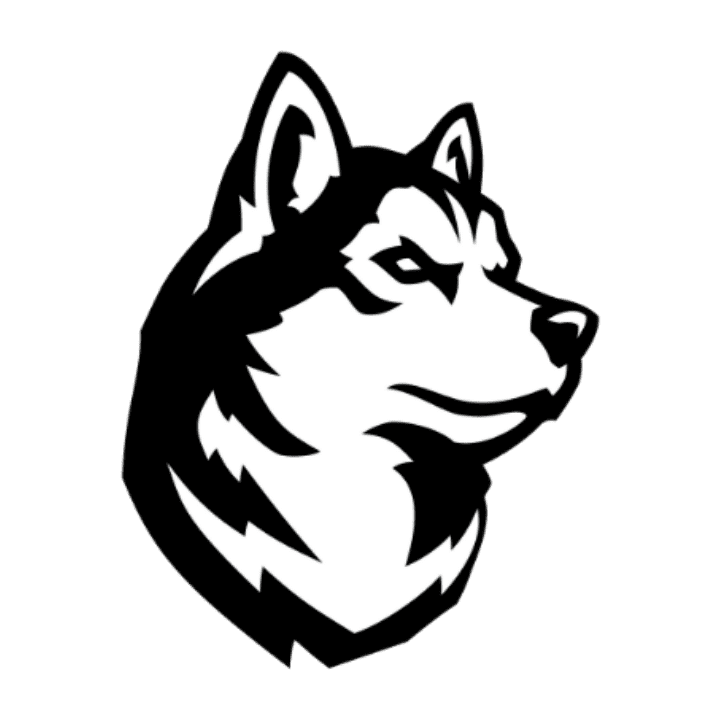 image (13)